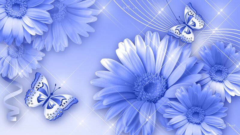 Blue Daisies and Butterflies