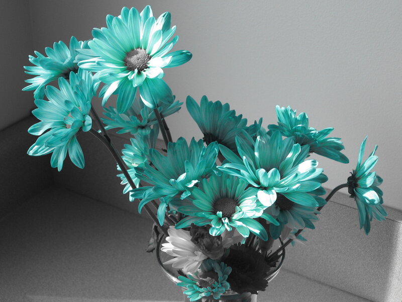 Blue Daisies in Vase