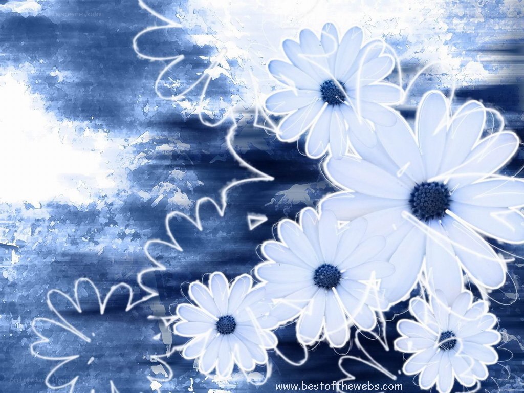 blue daisies on textured background