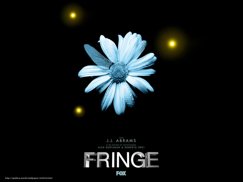 Blue Daisy with Dragonfly Wing — Black