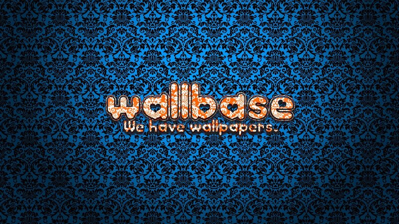 blue damask wallpaper with logo