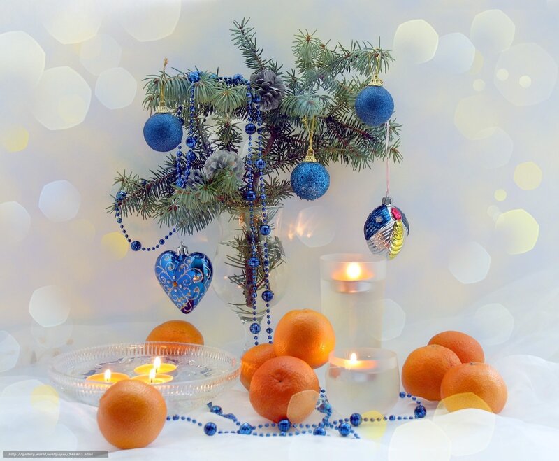 Blue-decorated Christmas Branch