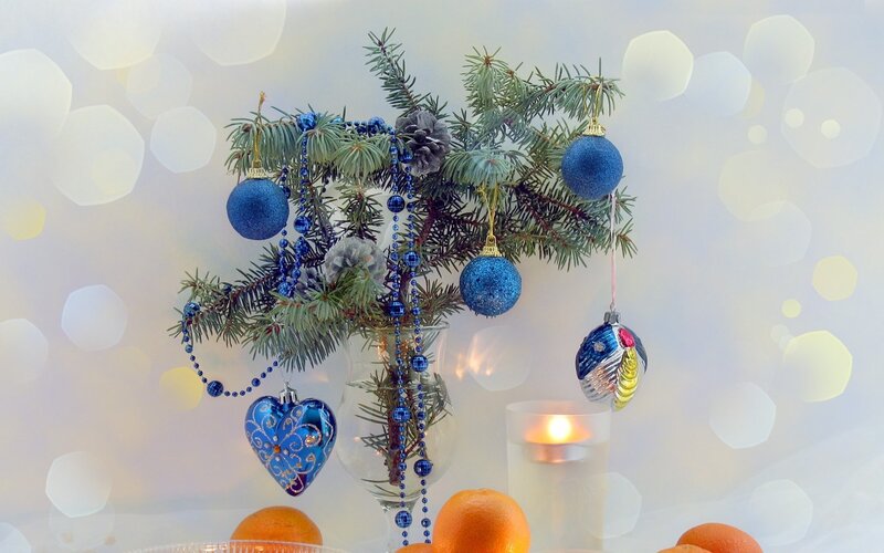 Blue-decorated Evergreen Branch