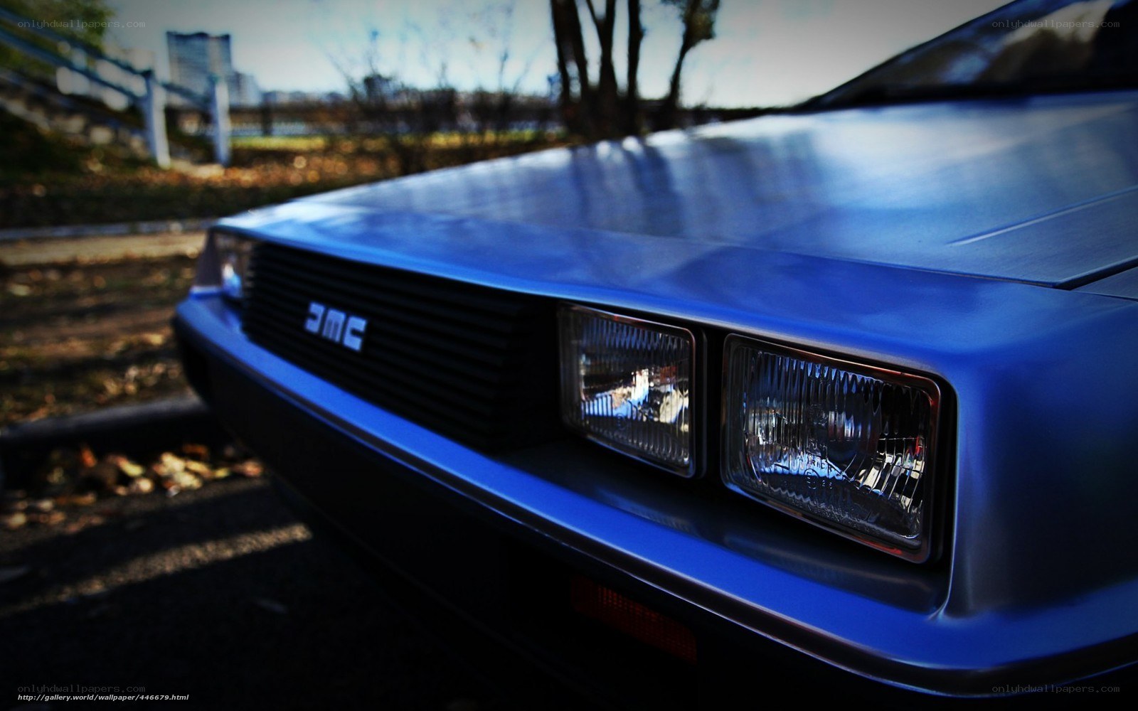Blue DeLorean car front