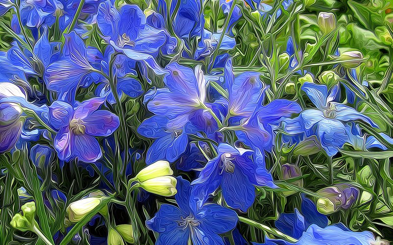 Blue Delphinium Flowers — Vibrant