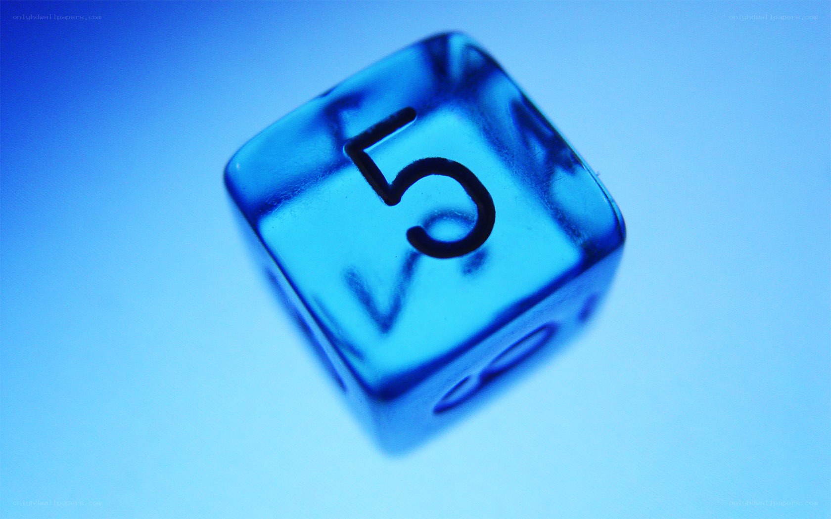 blue die showing number five