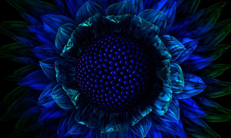 blue digital flower artwork