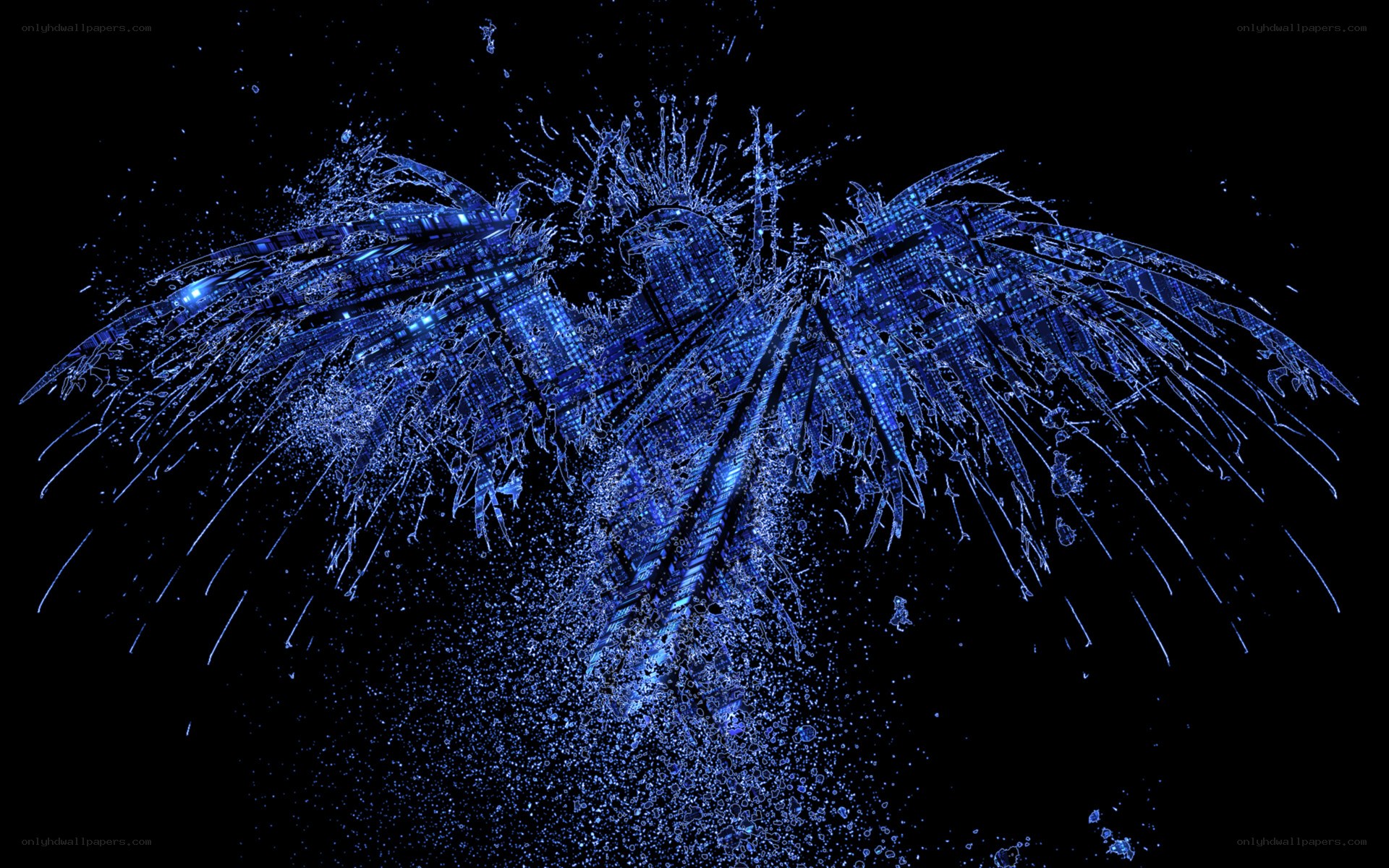 blue digital phoenix