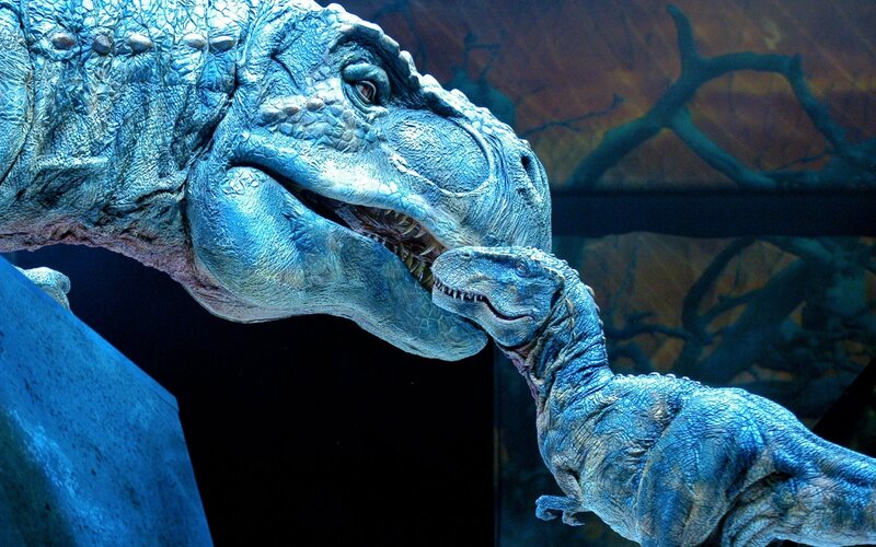Blue Dinosaur Models — Dramatic