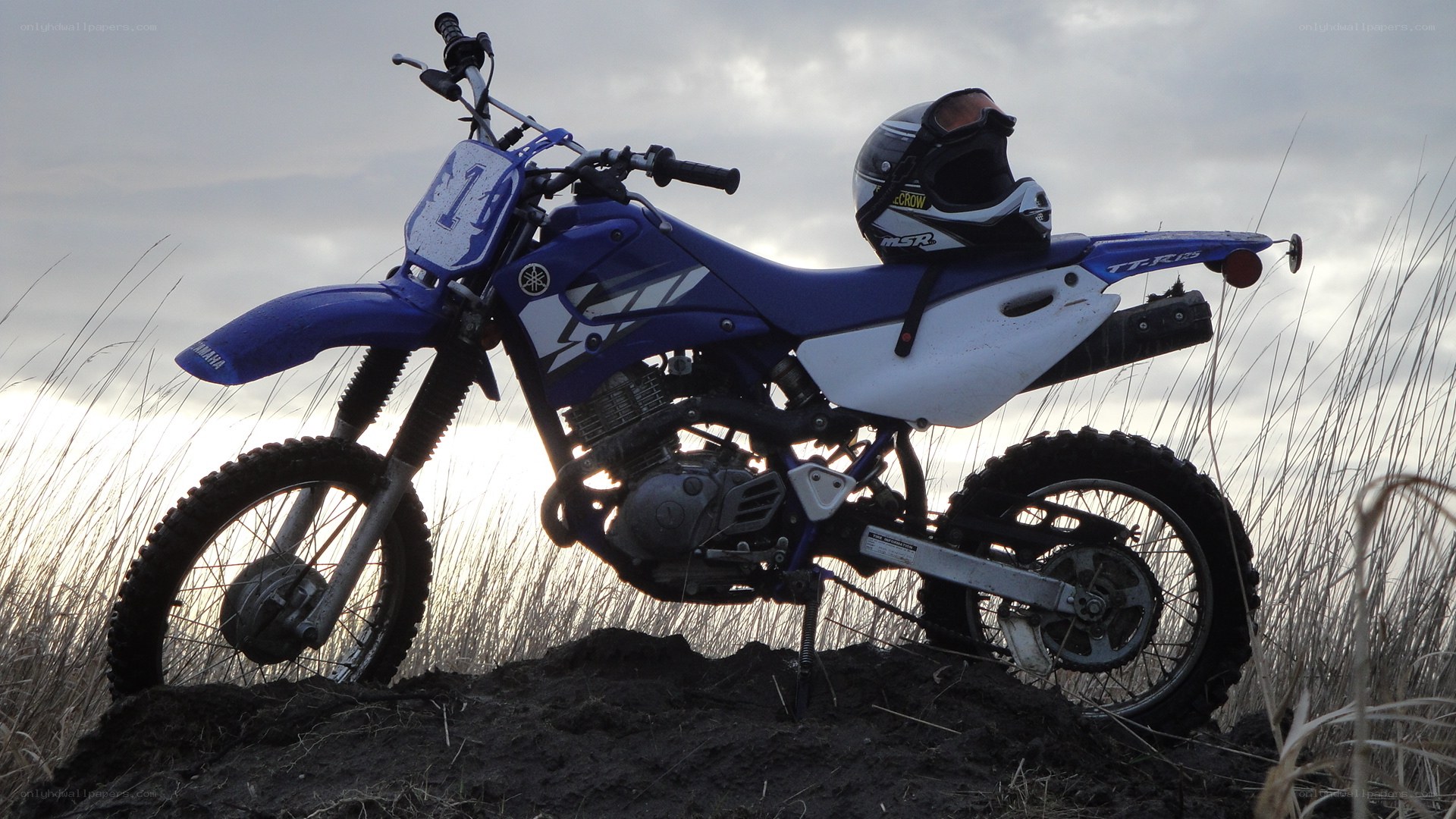 Blue dirt bike in field