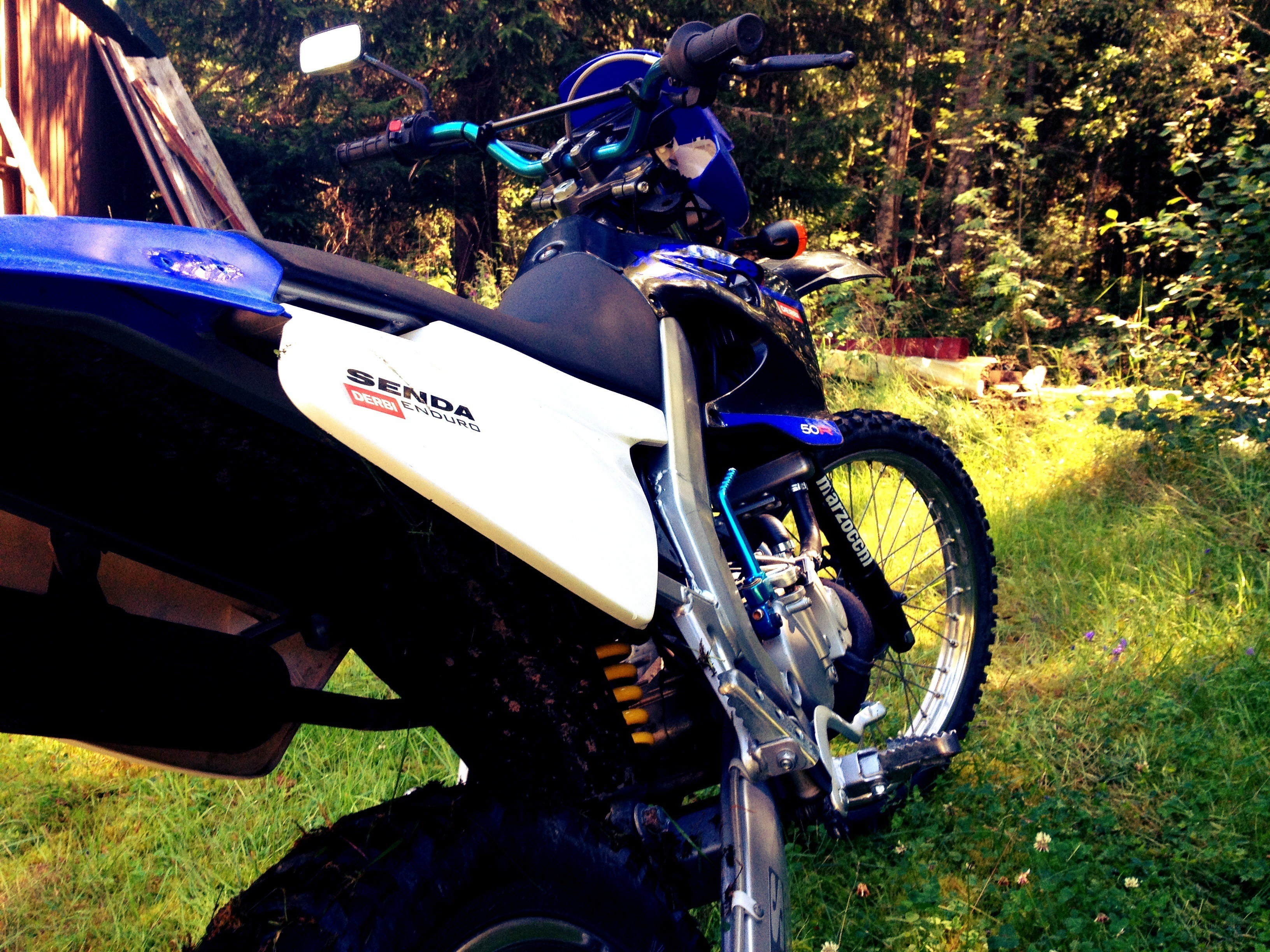 Blue dirt bike in forest