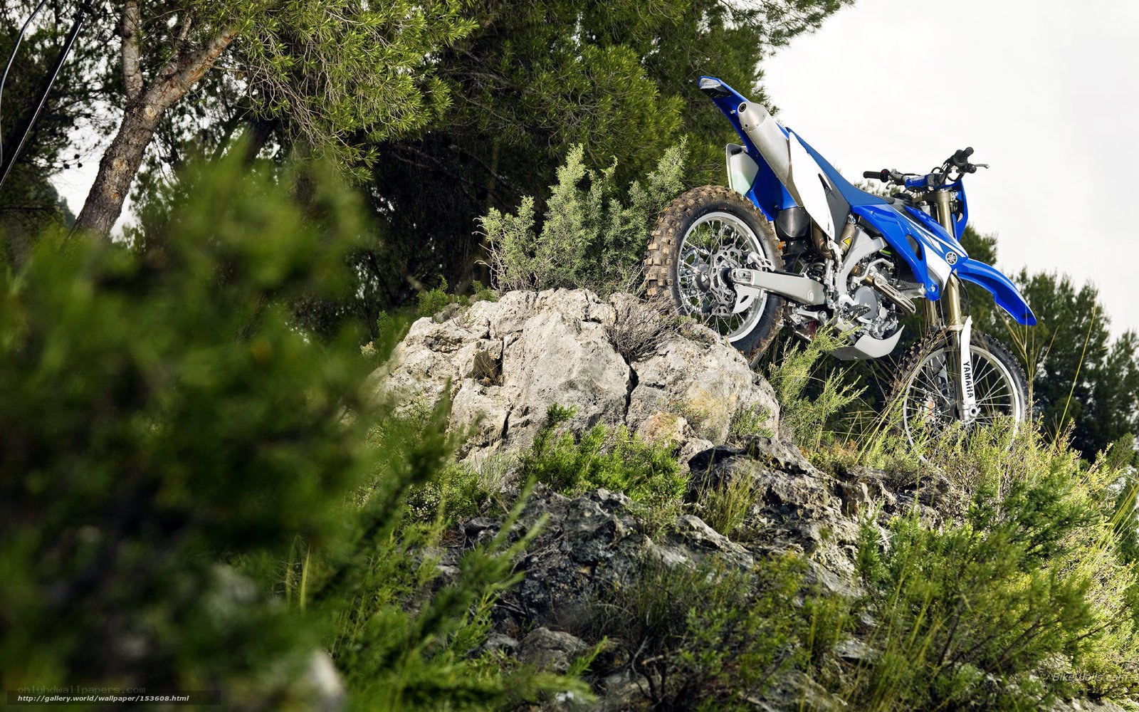 Blue dirt bike on rocky terrain