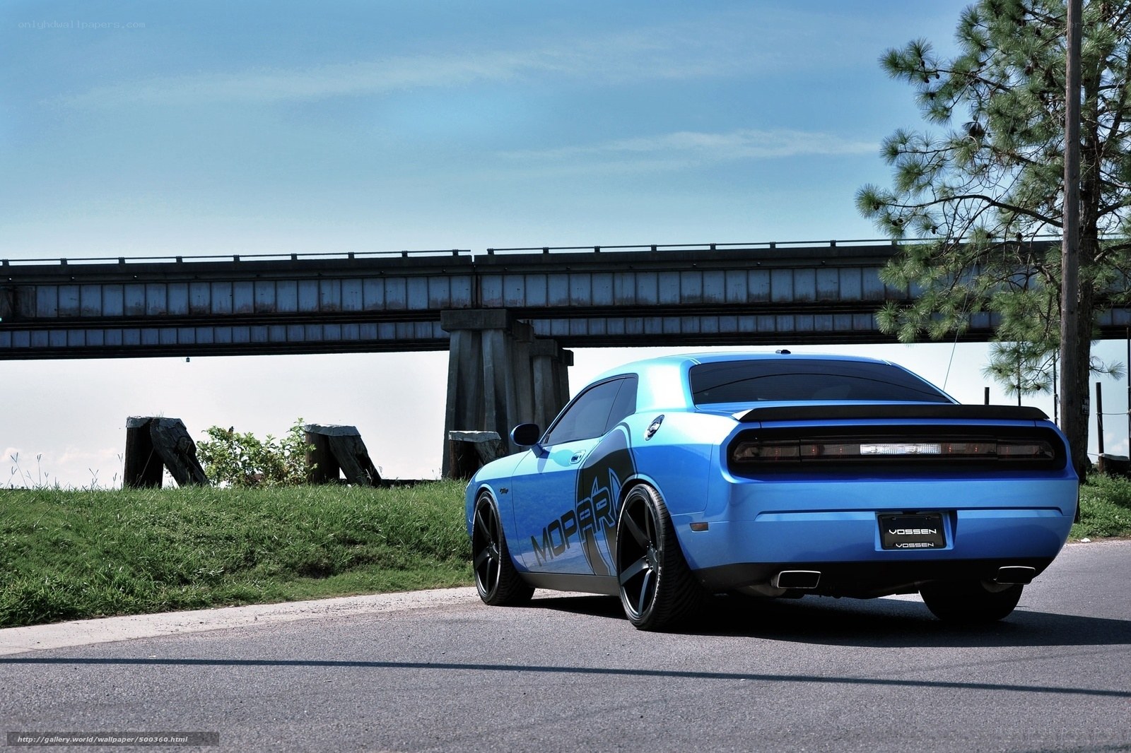 Blue Dodge Challenger under bridge