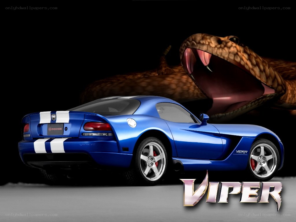 Blue Dodge Viper with snake