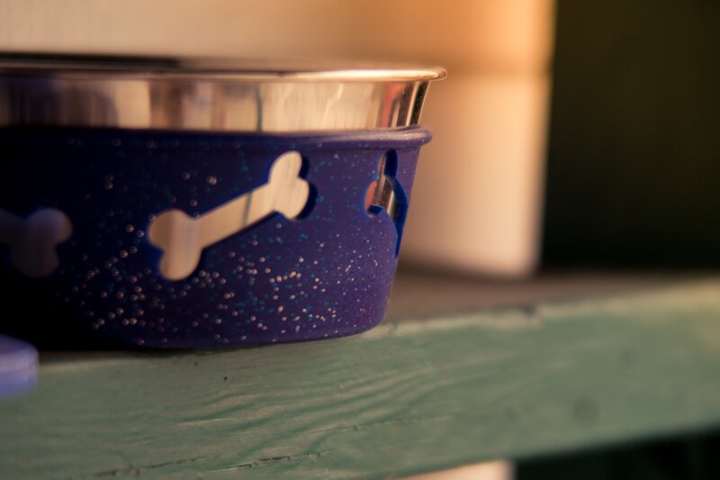 Blue Dog Bowl