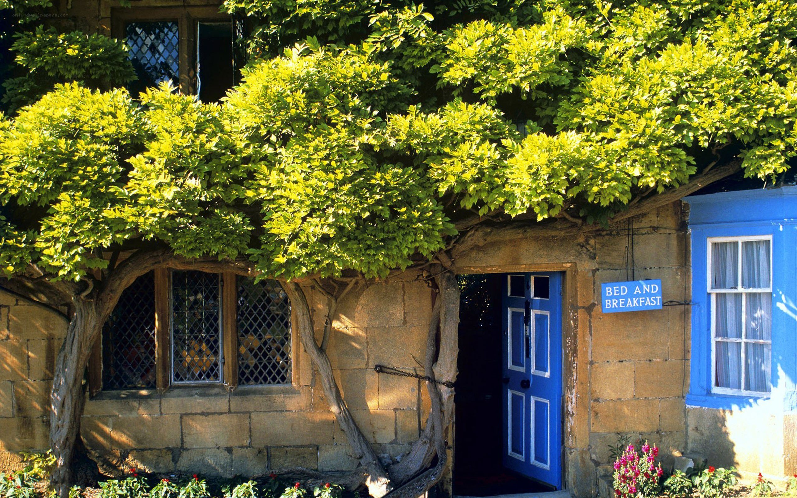 Blue door bed and breakfast
