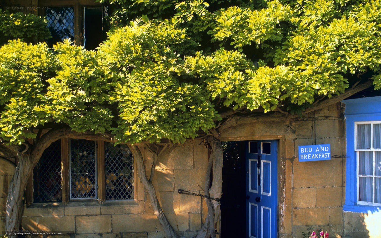 Blue door bed and breakfast