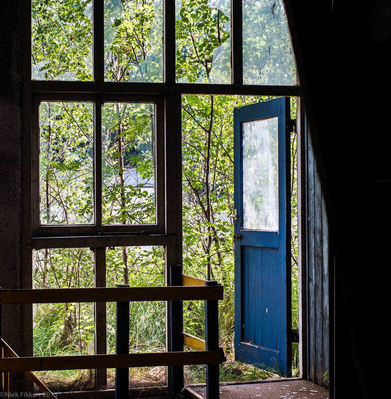 Blue Door in Forest