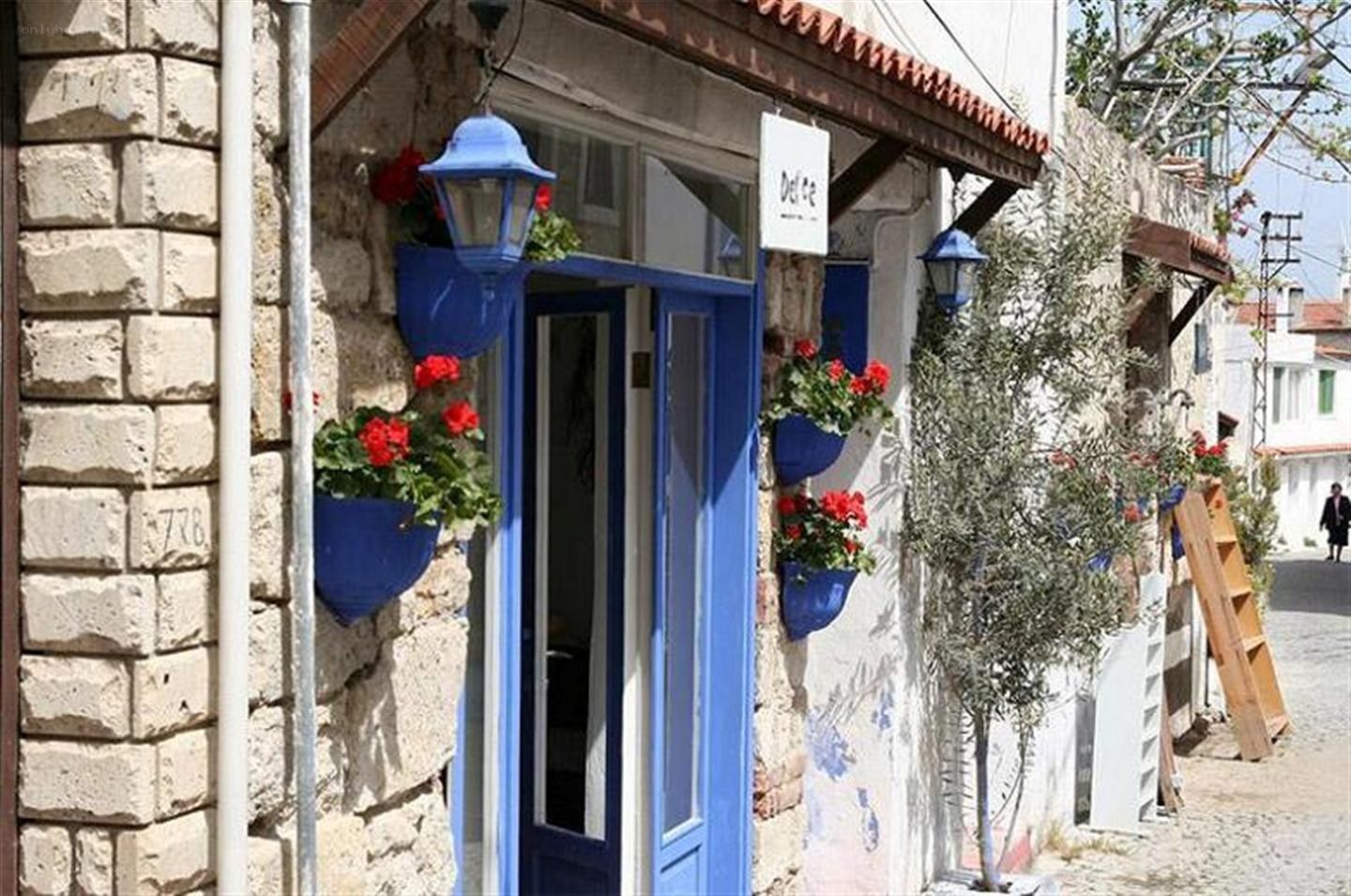 Blue door with flower pots