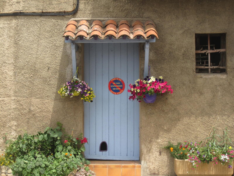 Blue Door with Flowers — Calm