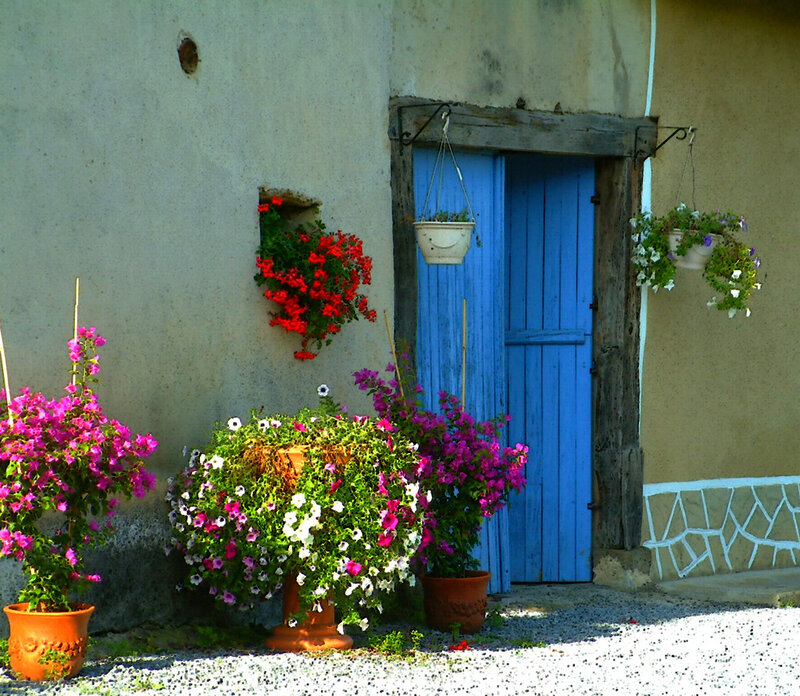 Blue Door with Flowers — Serene, Afternoon