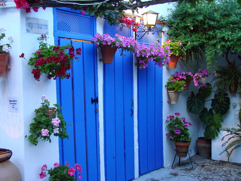 Blue Door with Flowers — Serene