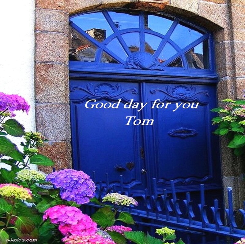 Blue Door with Hydrangeas — Calm