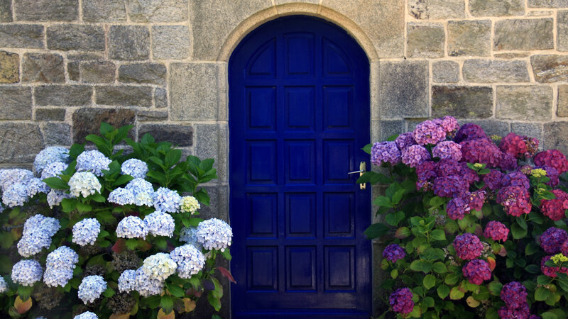 Blue Door with Hydrangeas — Serene