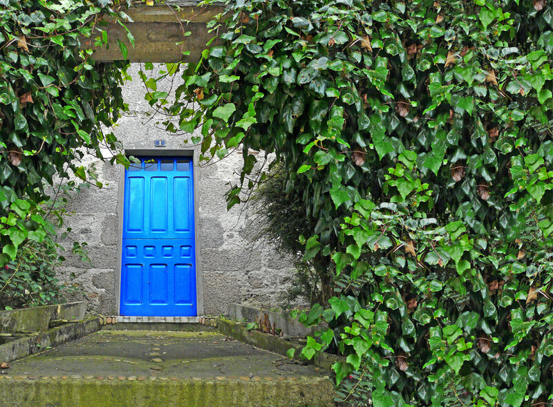 Blue Door with Ivy