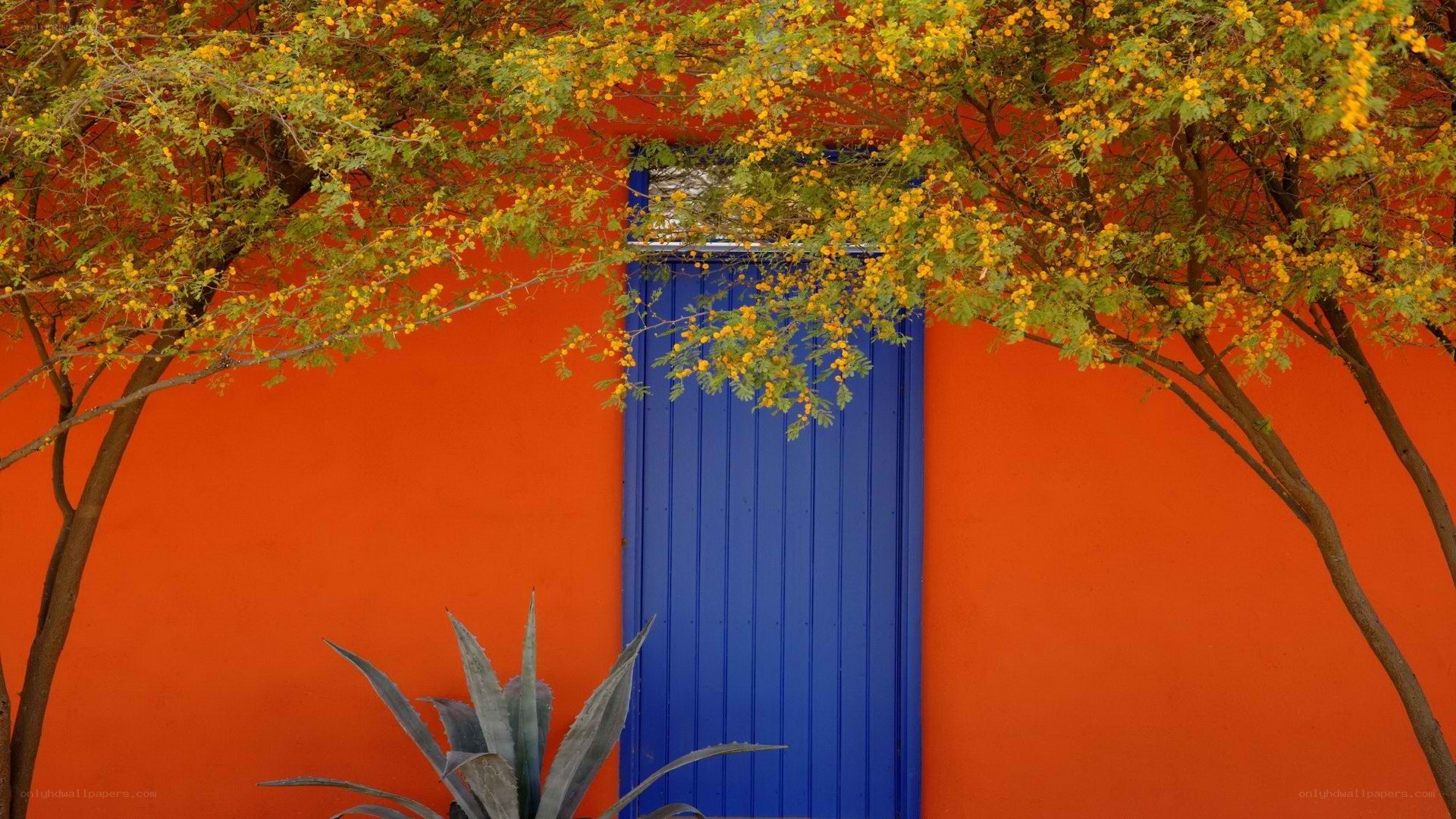 blue door with orange wall