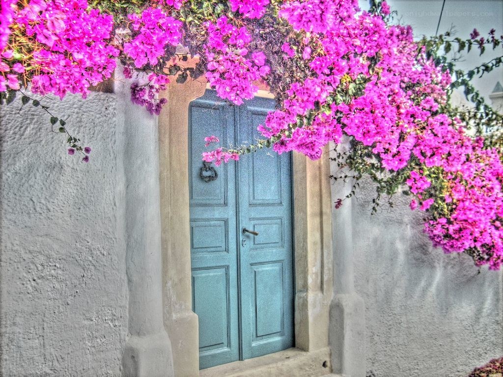 Blue door with pink flowers