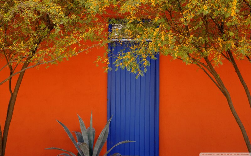 Blue Door with Trees