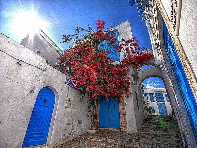 Blue doors and red flowers in a narrow alley