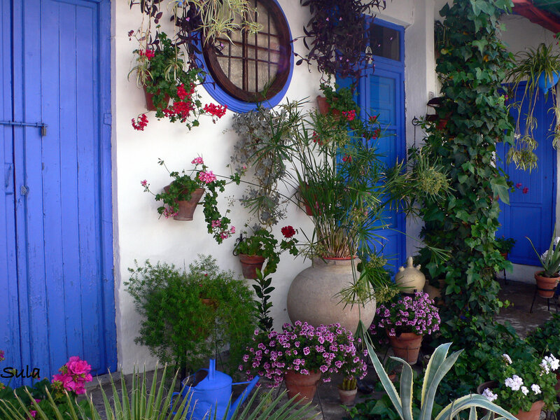 Blue Doors with Plants