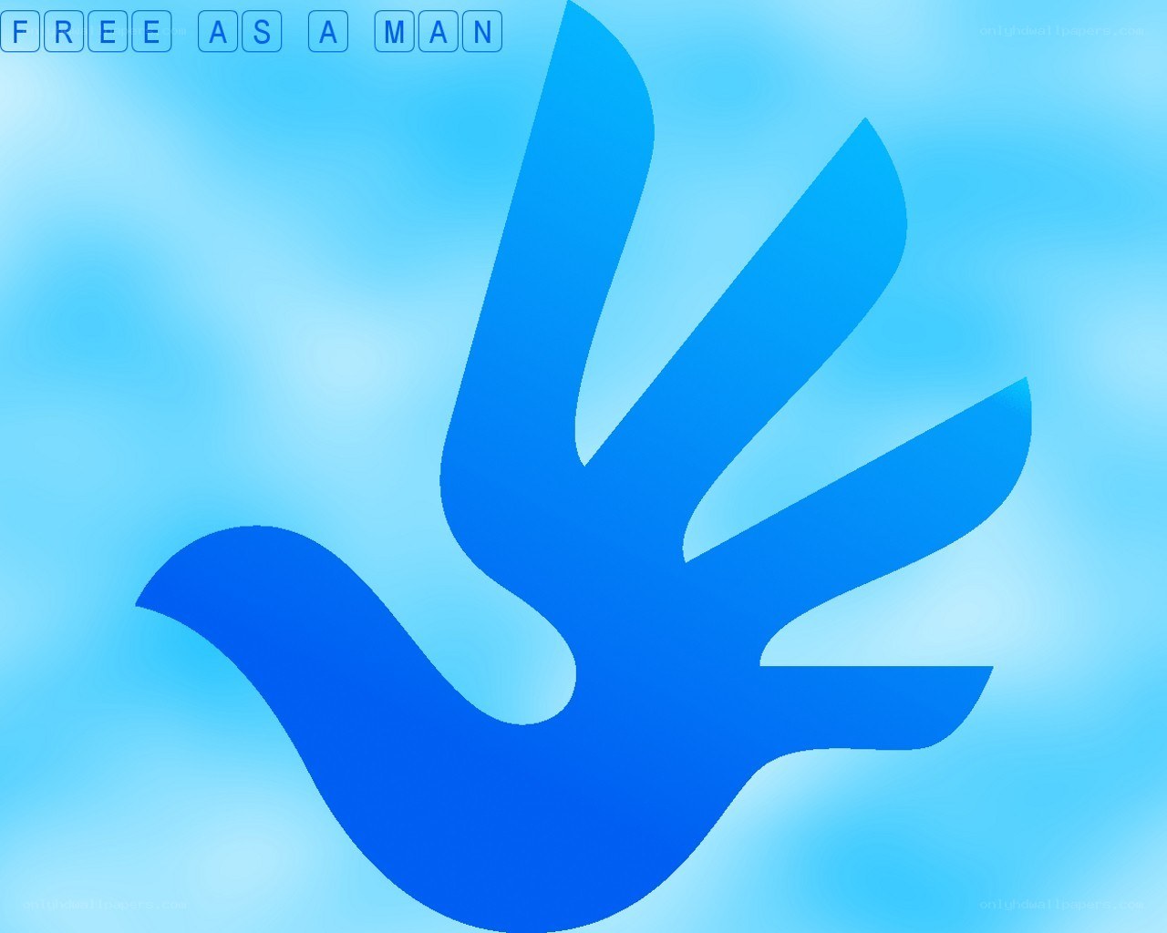 blue dove logo