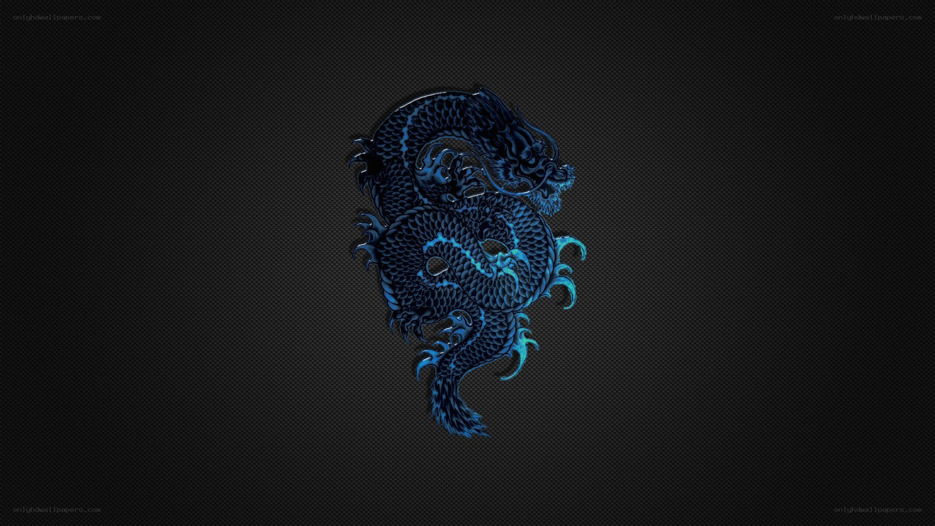 blue dragon design wallpaper