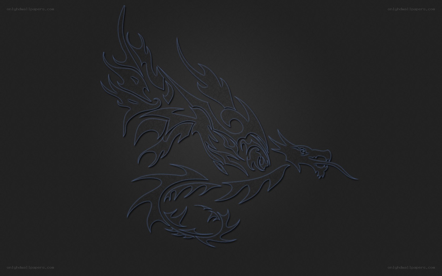 blue dragon design