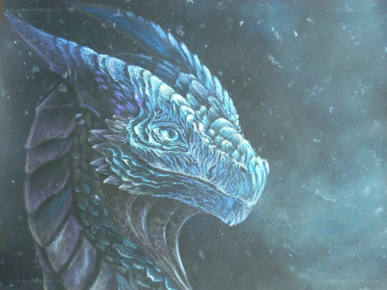 blue dragon head portrait