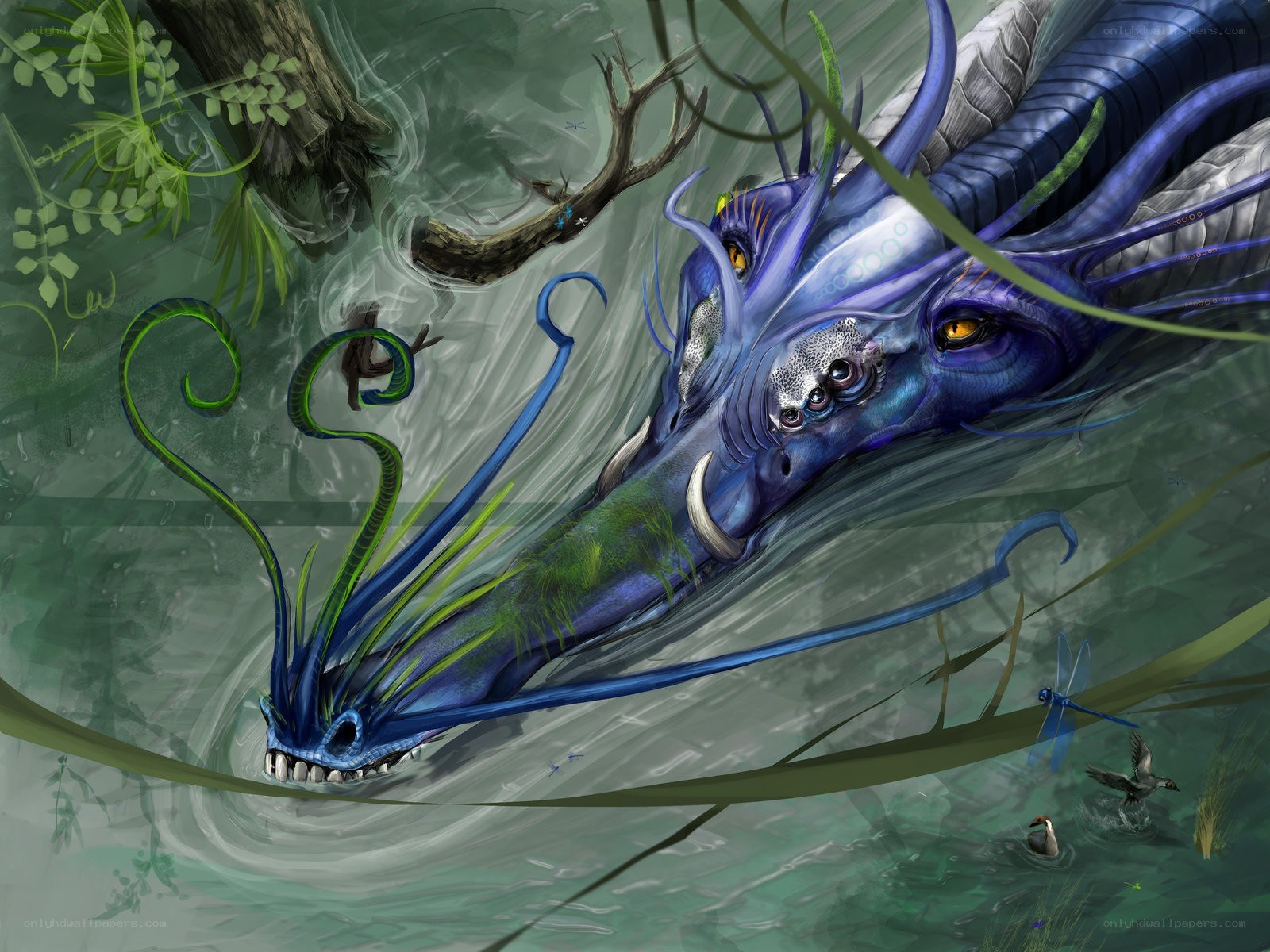 Blue dragon in a swamp