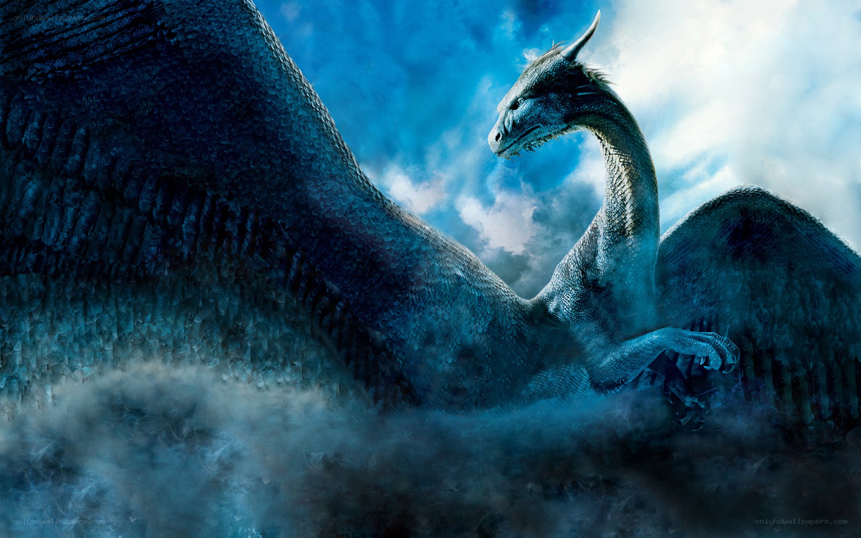Blue dragon in misty sky