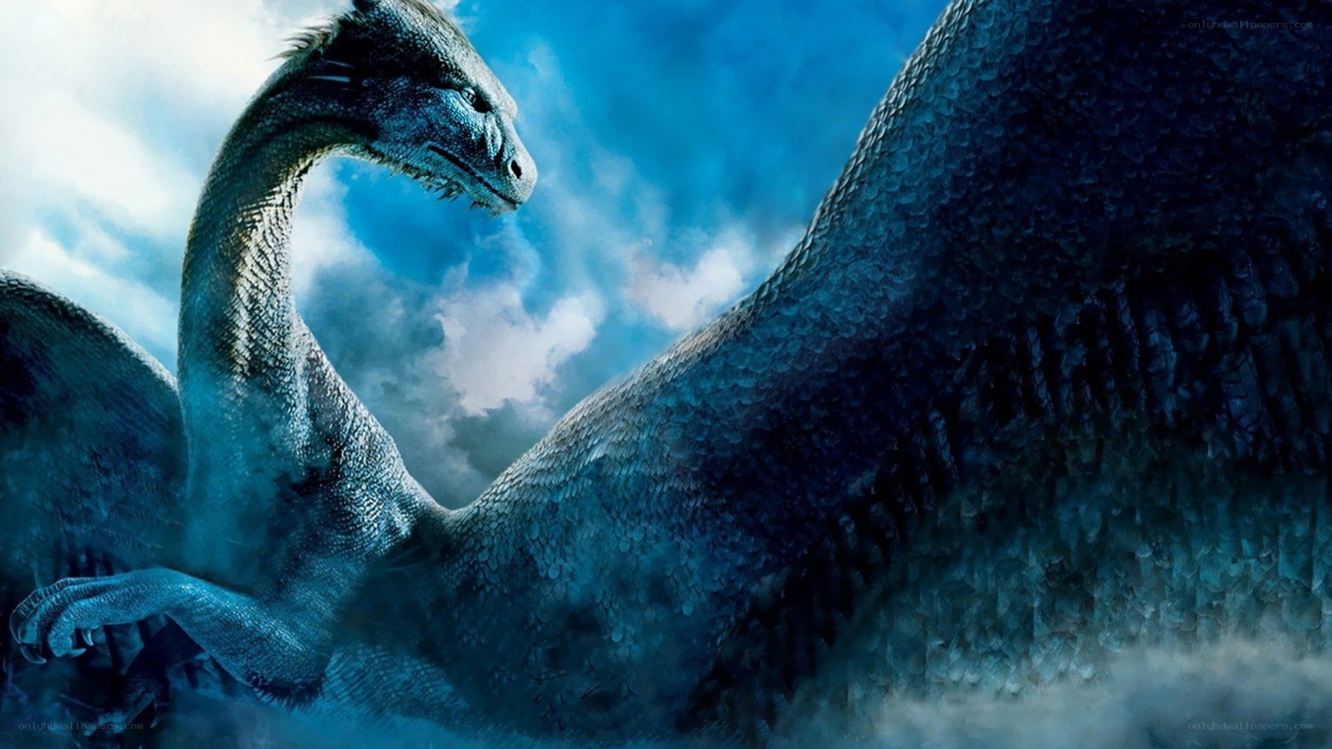 blue dragon in the sky