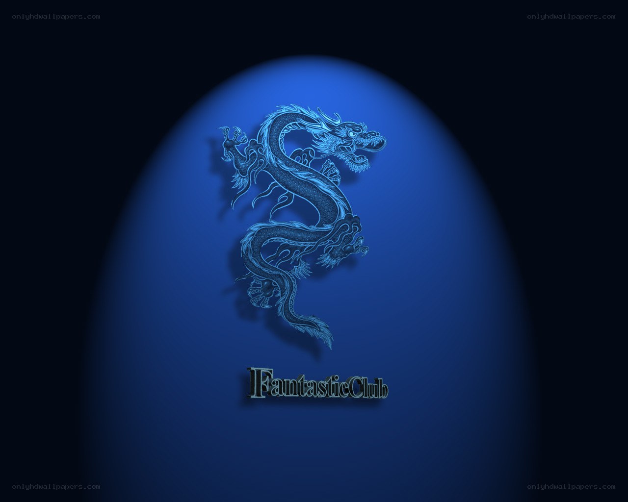 blue dragon logo design