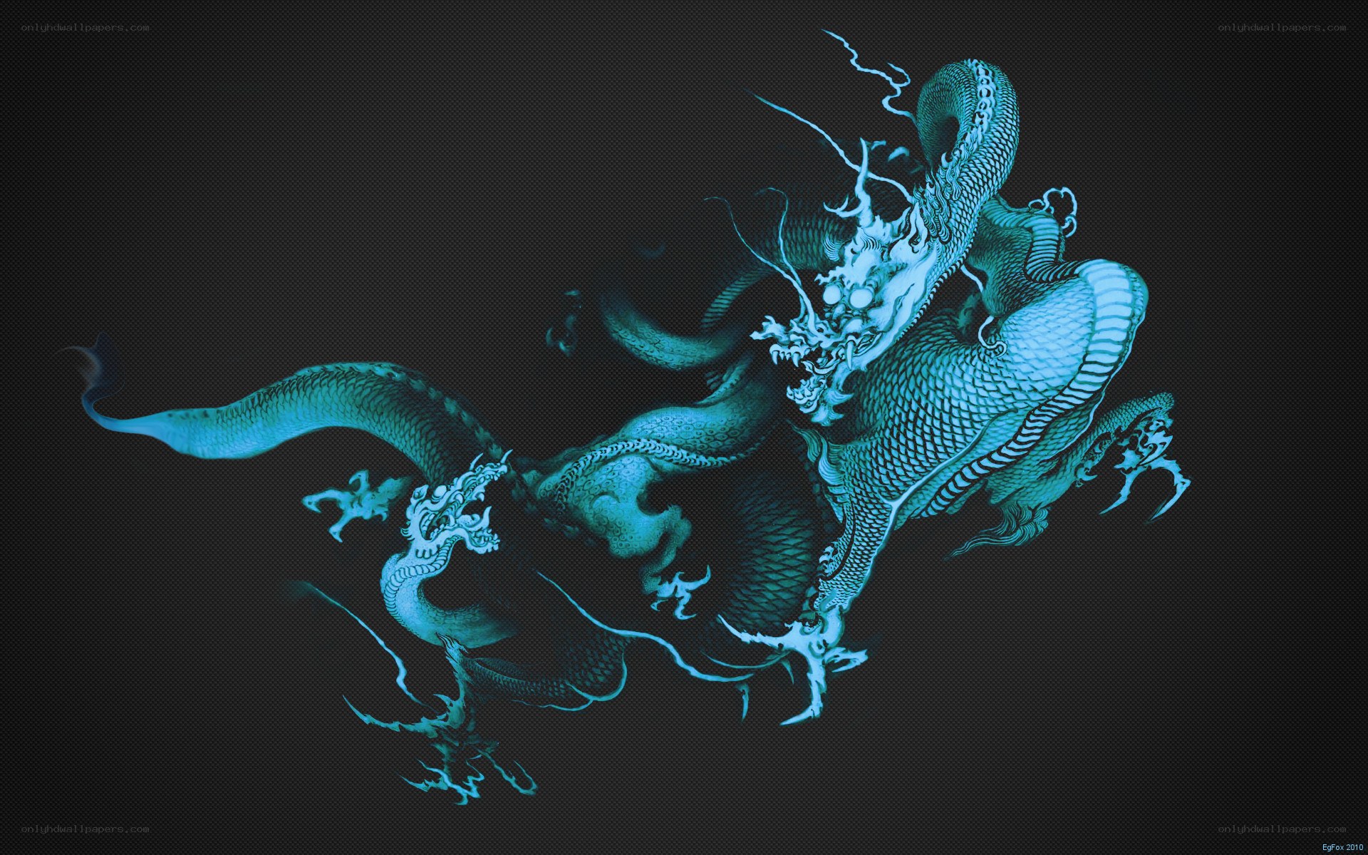 blue dragon on dark background