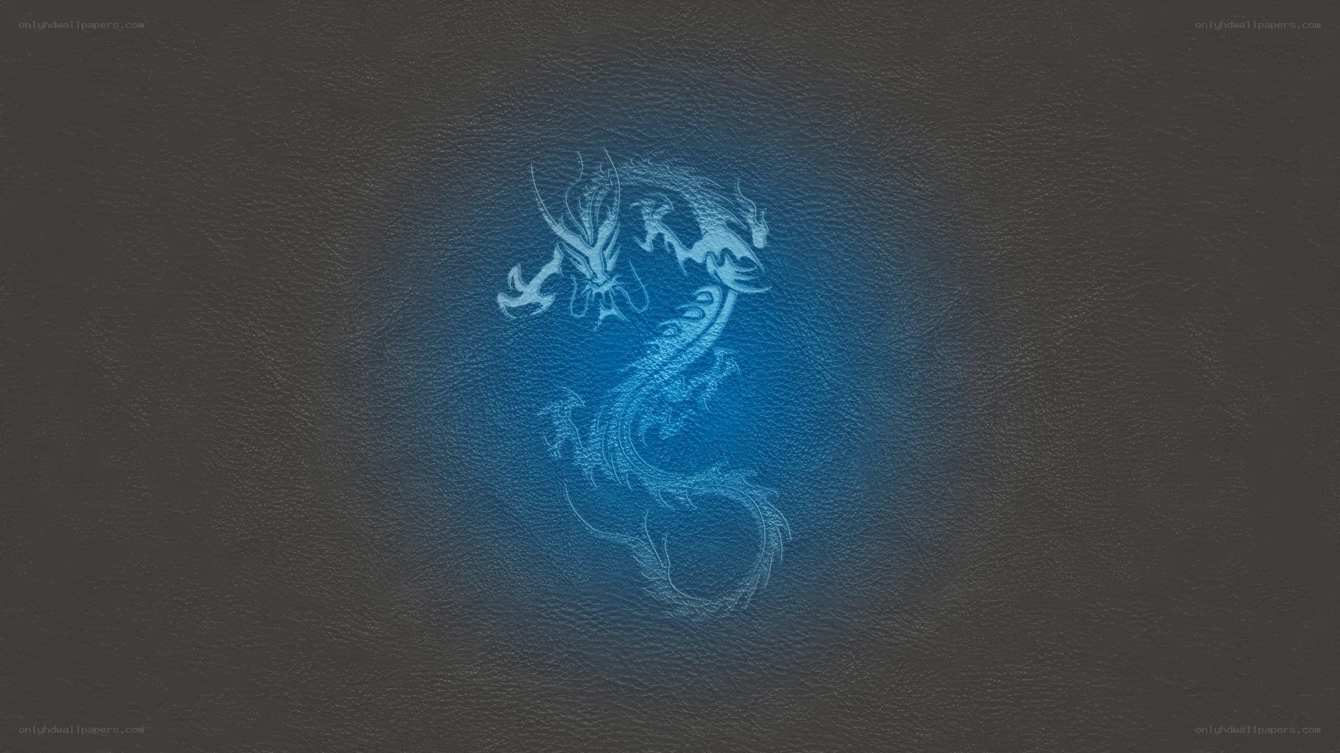 blue dragon on leather