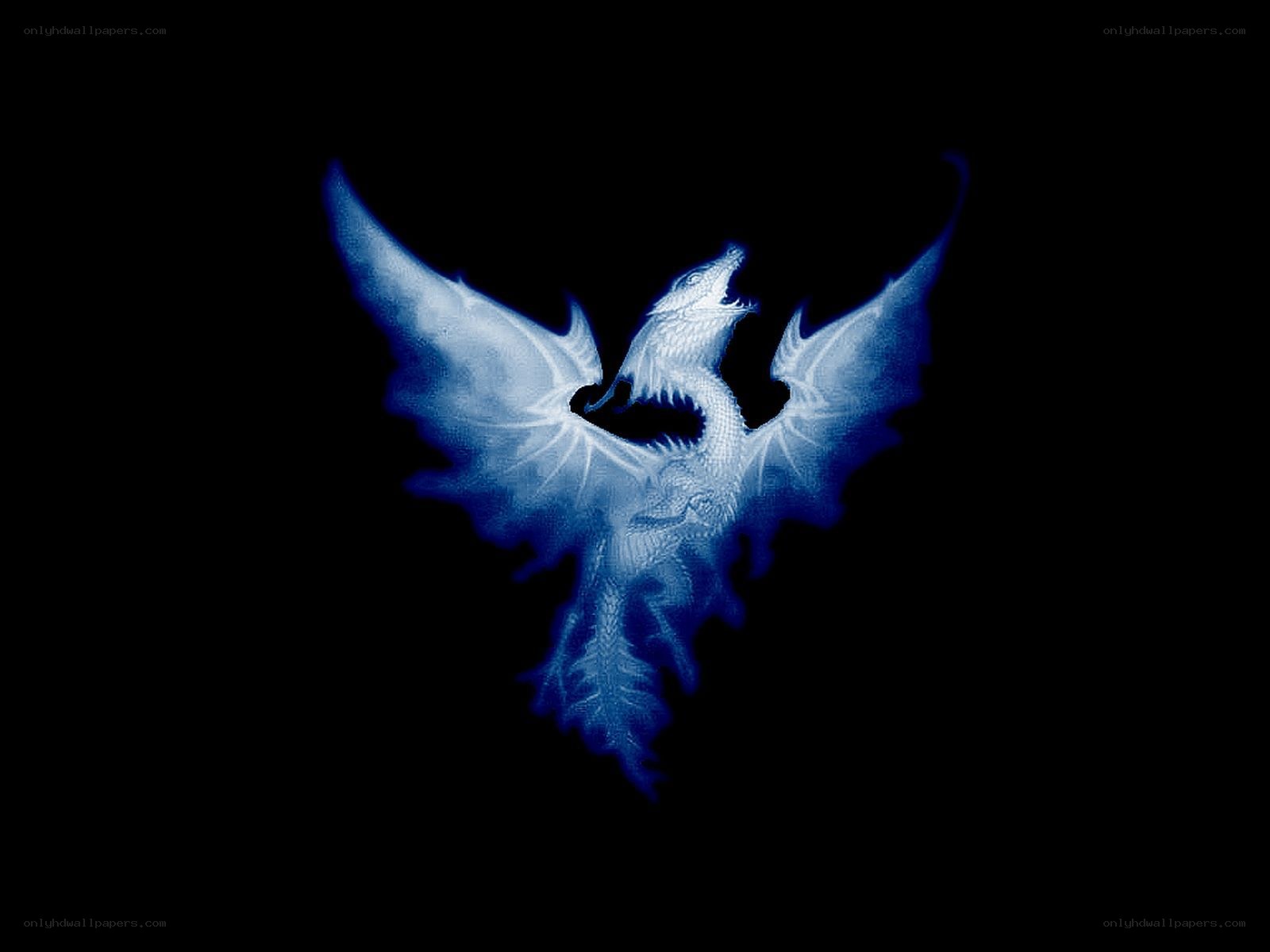 blue dragon silhouette