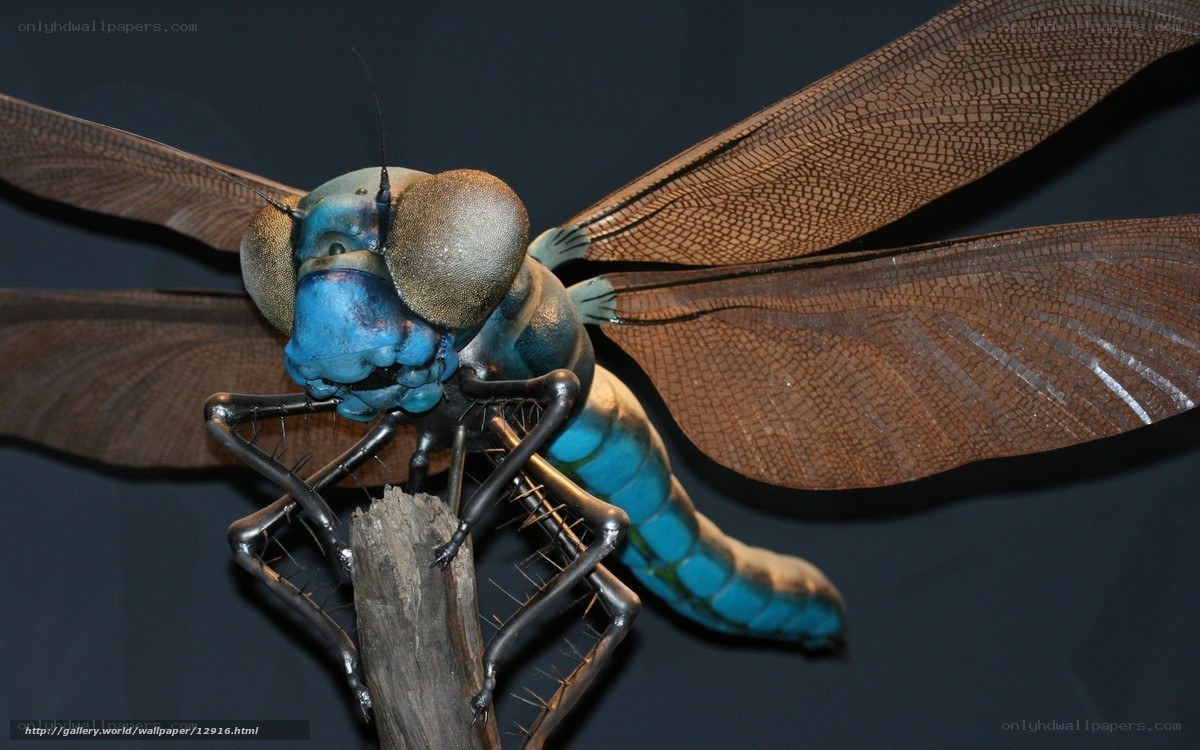 Blue dragonfly sculpture