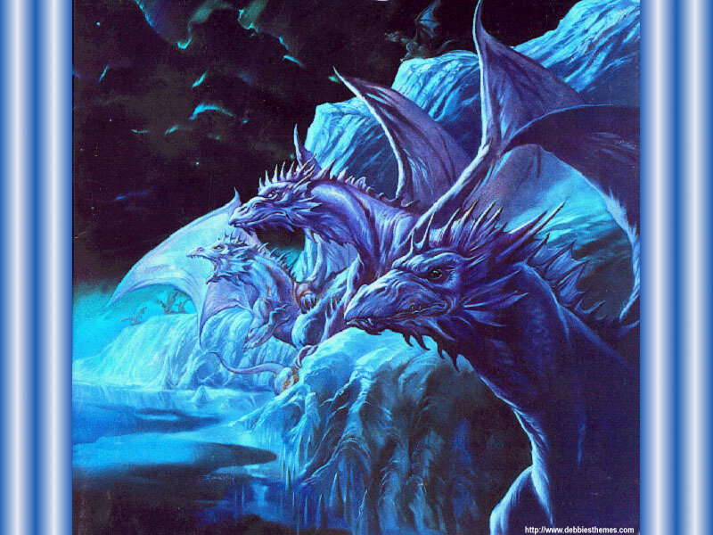 Blue dragons on a rocky shore