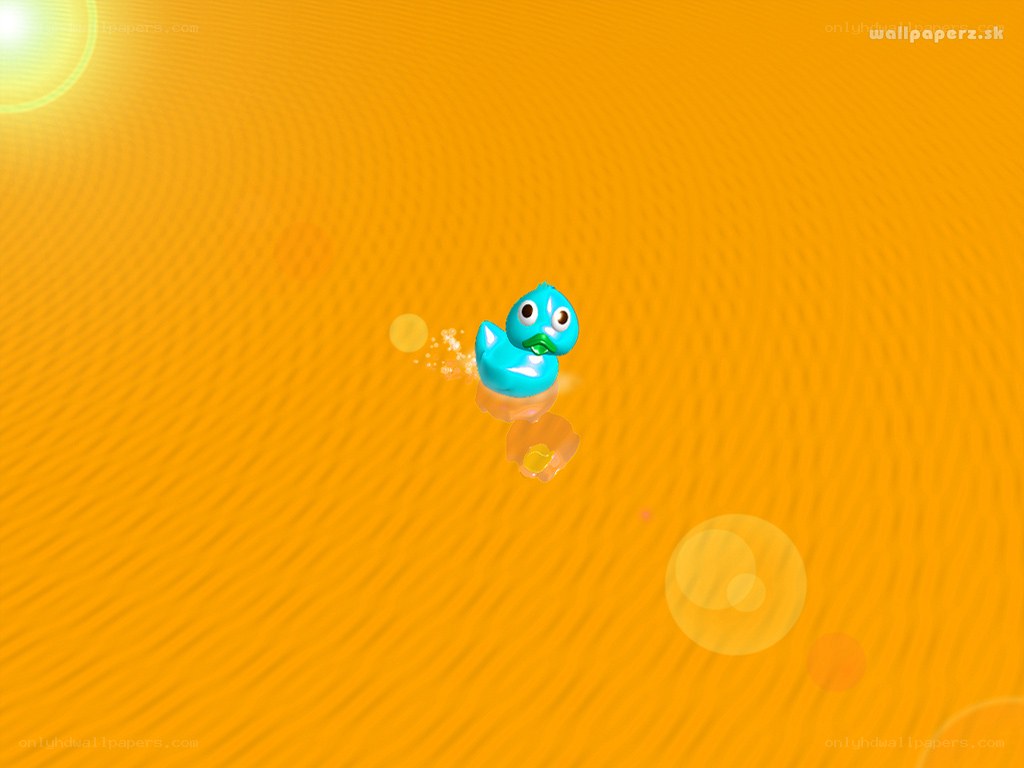 blue duck on orange background