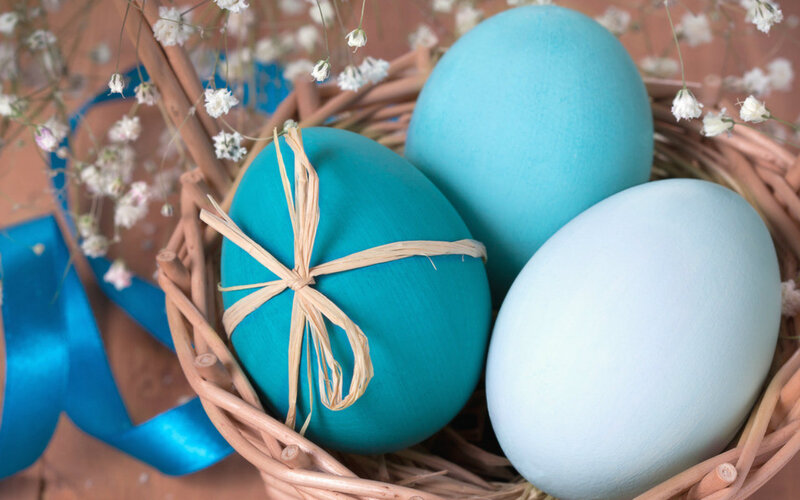 Blue Easter Eggs in Basket