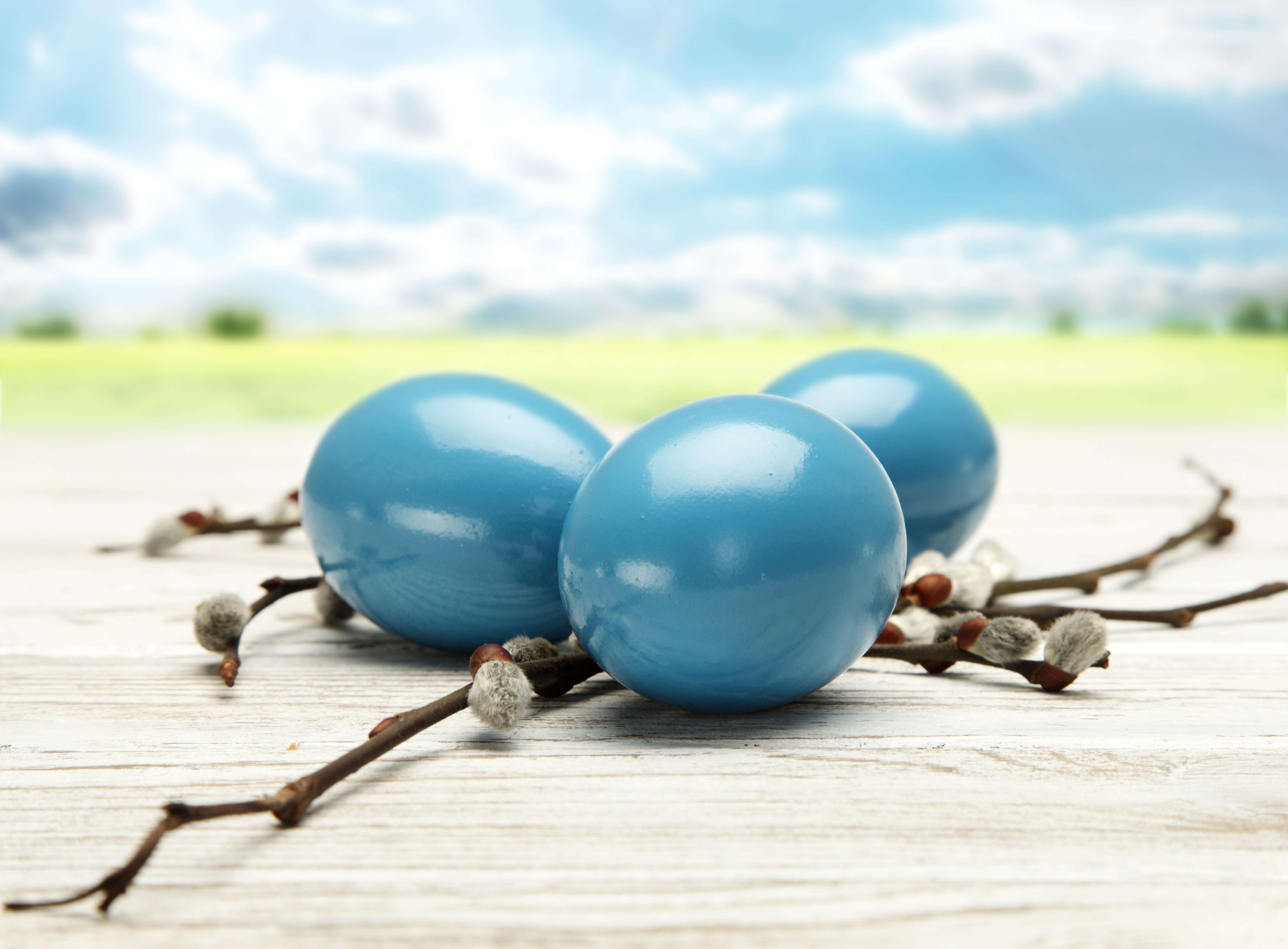 Blue Easter eggs on wooden surface
